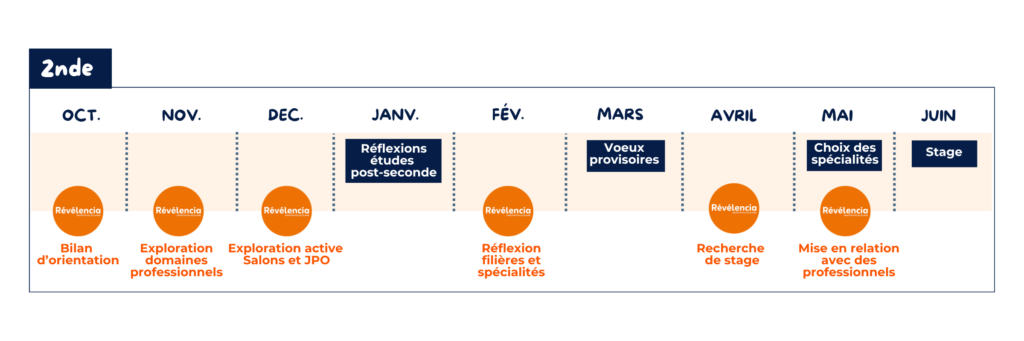 Accompagnement annuel orientation seconde