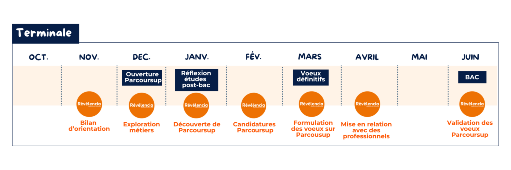 Accompagnement annuel orientation terminale